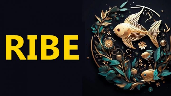 Ribe su znak cija ljubav je blagoslov sa neba!