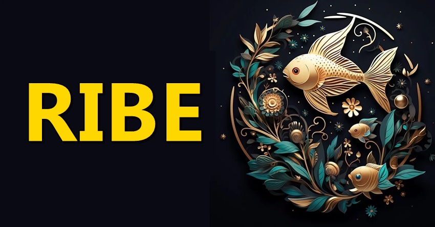 Ribe tokom februara krecu dalje: Vreme je za lepsu buducnost! Ribe tokom februara krecu dalje: Vreme je za lepsu buducnost!