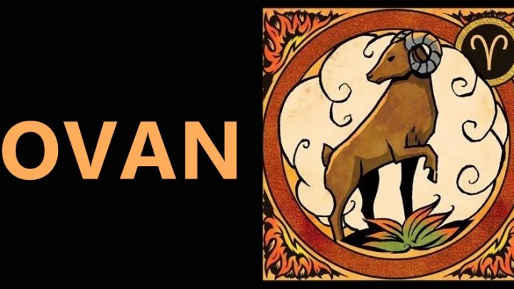 Ovan:Recite mu da nesto ne sme ili ne moze i gledajte kako to radi!