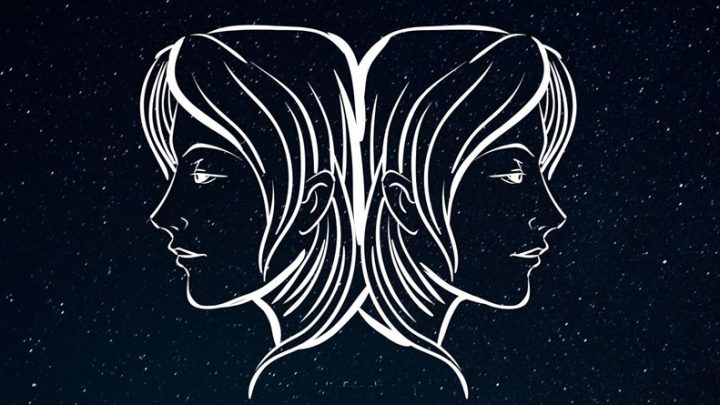 Blizanci:Mnogi misle da su dvolicni,a oni samo ne daju svakome da vide njihovo pravo lice!