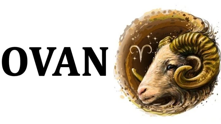 Ovan:On je svestan da je najbolji i najjaci i beskrajno uziva u tome!