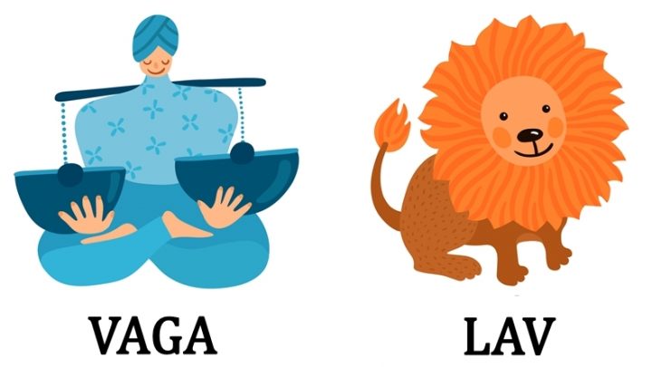 Vaga i Lav:Oni ne brinu sta ko misli o njima-tudja misljenja su im nebitna!