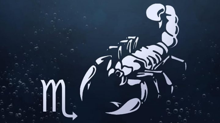 Skorpija:Ne kacite se sa njom,ona nista ne zaboravlja!