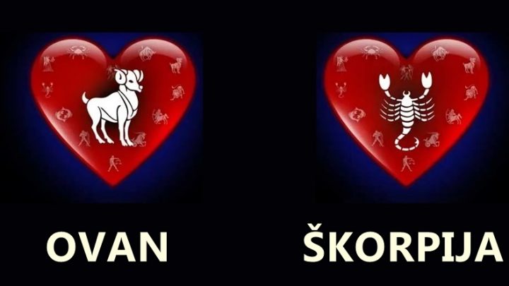 Ovan i Skorpija:Uvek pobednici,nikada gubitnici!