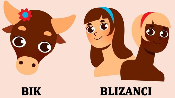 Bik i Blizanci:Mozda imaju tezak karakter ali im je dusa pravo blago!