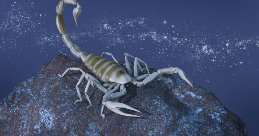 ŠKORPIJA: Veliki horoskop za narednih sedam dana, zvezde su vam spremile nešto čarobno!