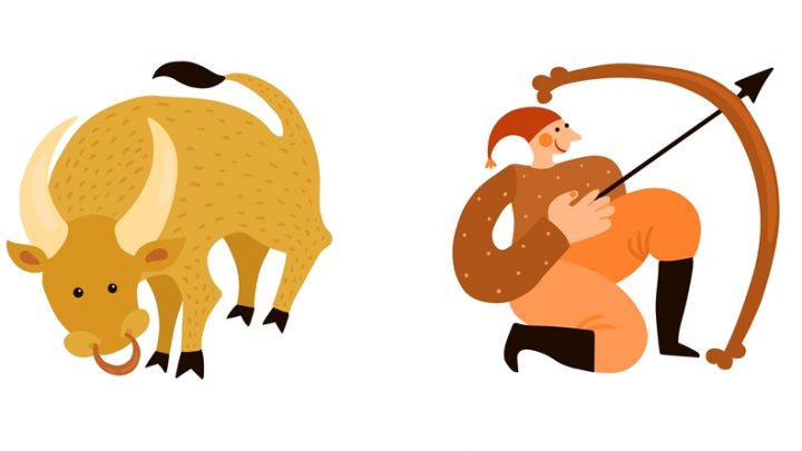 Bik i Strelac mogu sve sto hoce,jer oni ne znaju za granice niti za pravila!