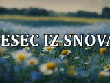 April,bivsa ljubav.