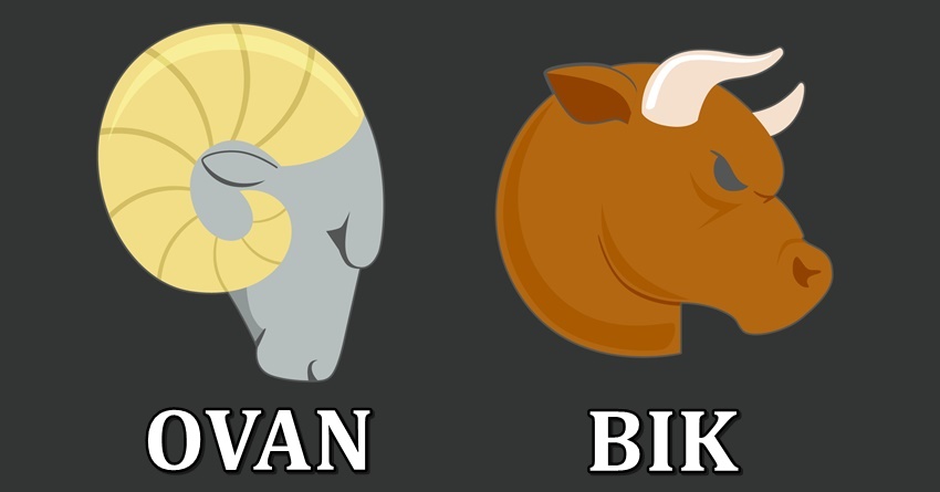 Ovan i Bik:Najjaci,najlepsi i vole odavde do neba! Ovan i Bik:Najjaci,najlepsi i vole odavde do neba!