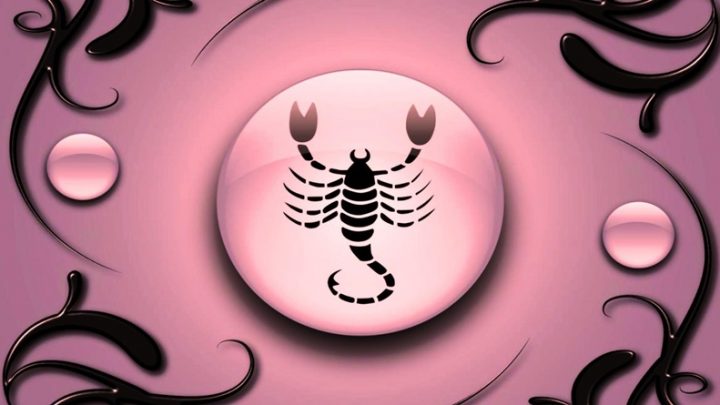 Skorpija ce biti presrecna,Raka ocekuje nesto zanimljivo…