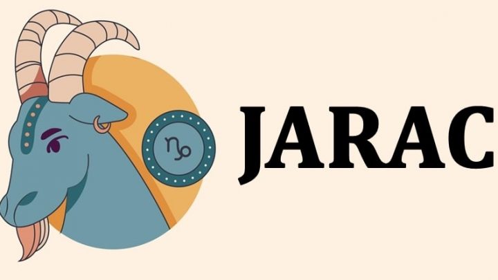 Jarac je znak koji zna kada je vreme da kaze “ne” i da ode!