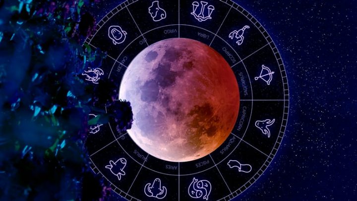 Rakove ce zaboleti istina,Blizance ocaj,a Lava i Skorpije zabranjena ljubav…