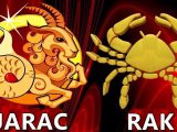 Rak,jarac,astro.