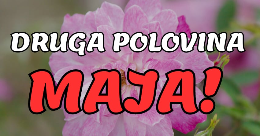 Pocela je druga polovina meseca,a ovi znaci ce do 31.maja imati najvise srece! Pocela je druga polovina meseca,a ovi znaci ce do 31.maja imati najvise srece!