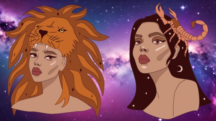 Lav i Skorpija:Ovo su dva kralja zodijaka,ono sto oni mogu-ostali samo sanjaju!