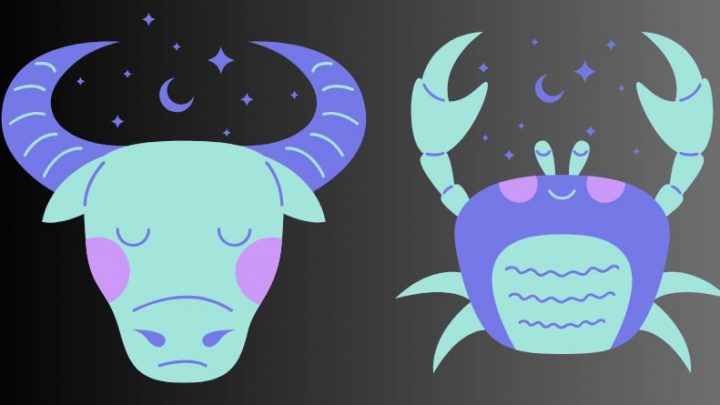 Bik i Rak:Spremni su na sve,ali ne grade srecu na tudjim suzama!