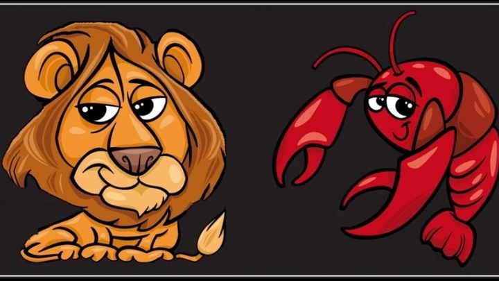 Rak i Lav:Ponasaju se kao ljuti suparnici, a vole se krisom!