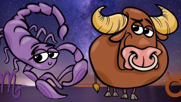 Skorpija i Bik:Saznajte sta vam sledi do kraja meseca jula!