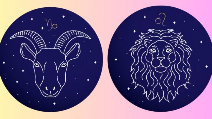 Jarac i Lav:Narednih deset dana bi mogli da promene vas zivot!