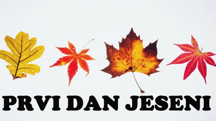 Sutra je prvi dan jeseni i ovom zodijaku donosi najvecu ljubav ikada!