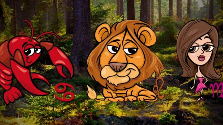 Rak,Lav,Devica:Od odluka koje cete doneti zavisice vasa sreca!