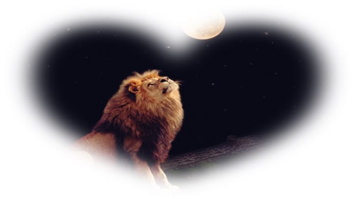 Sutra je pun mesec u Lavu:Evo kome ce 12.februar biti srecni dan!