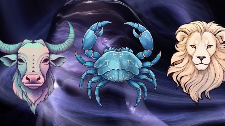 Bik,Rak,Lav:Vreme je da konacno budete srecni!