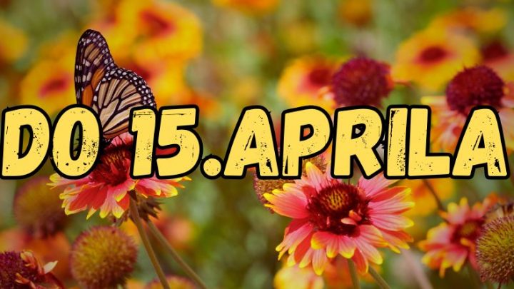 U prvoj polovini aprila,ovi znaci ce uzivati:Srecnici zodijaka do 15.aprila!