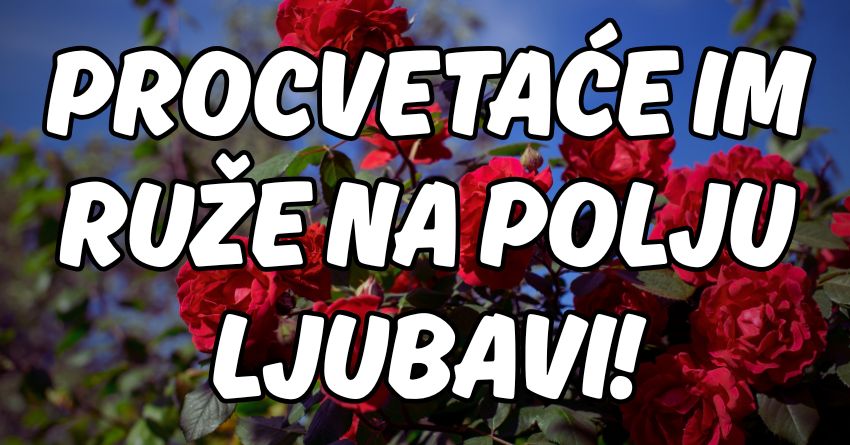Ljubav za utorak,sredu i četvrtak:Blago ovim znacima zodijaka! Ljubav za utorak,sredu i četvrtak:Blago ovim znacima zodijaka!