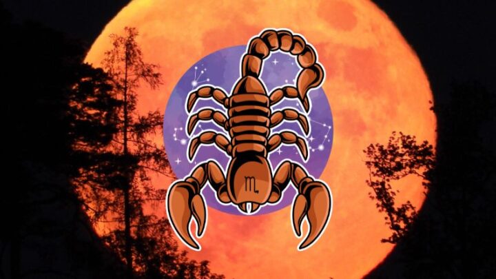 ŠKORPIJA: Počinje tvojih 5.minuta sreće, karma će te nagraditi za tvoju dobrotu!