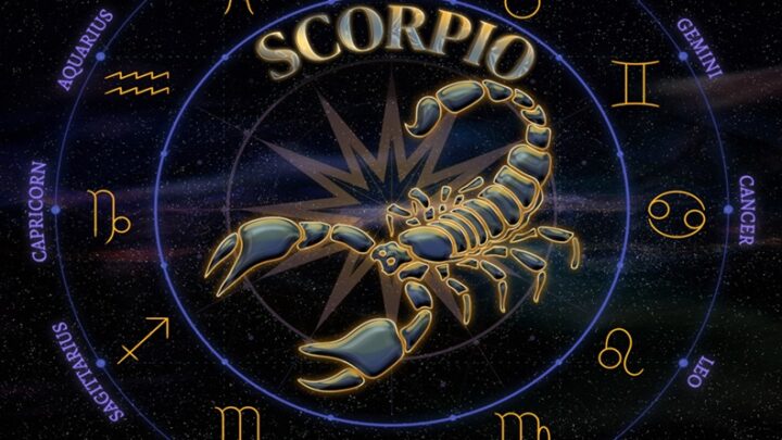 ŠKORPIJA: Do kraja sedmice vaša najveća želja će biti ostvarena, a vi najsrećniji na svetu!